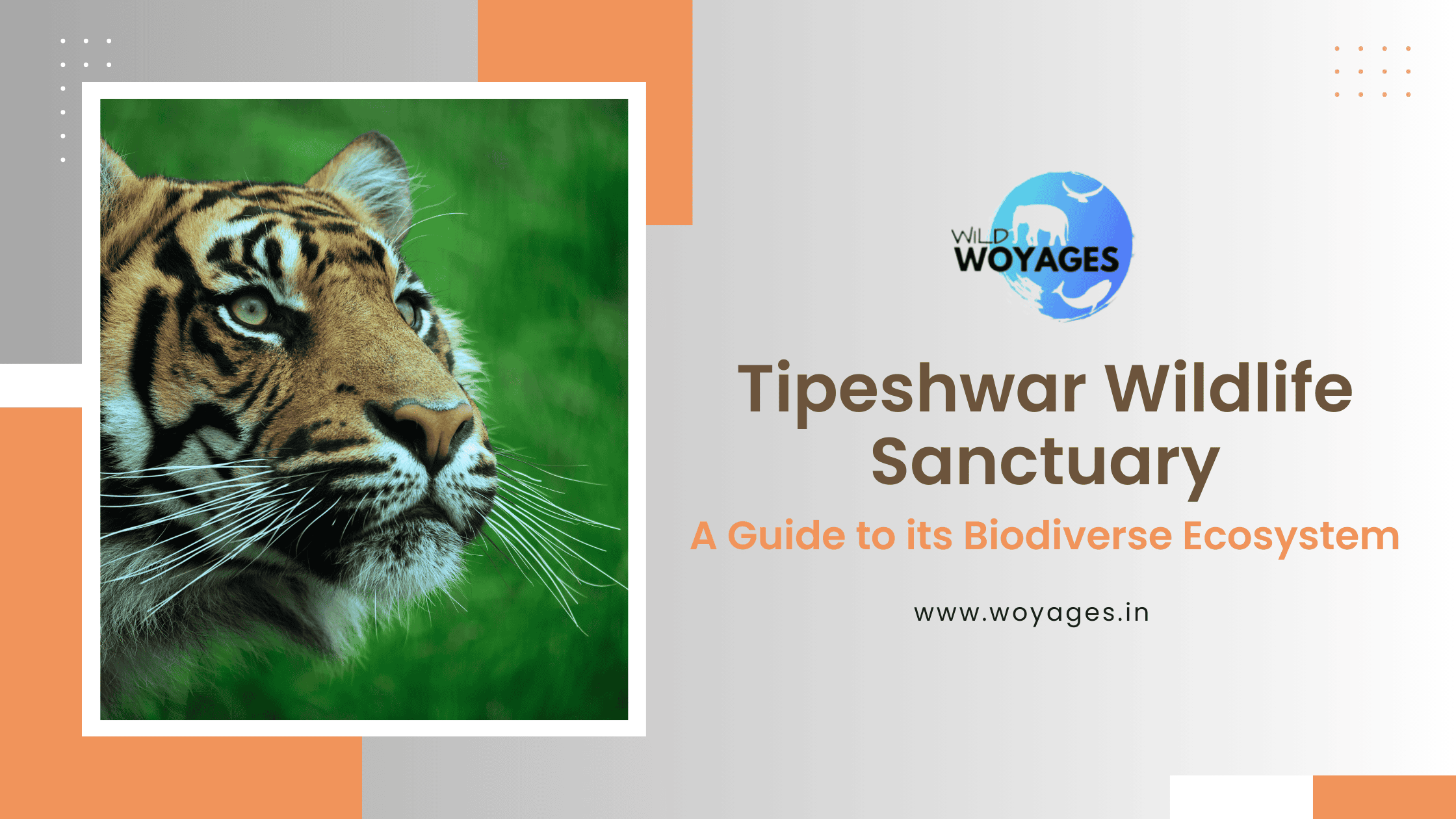 Tipeshwar Wildlife Sanctuary - Complete Guide