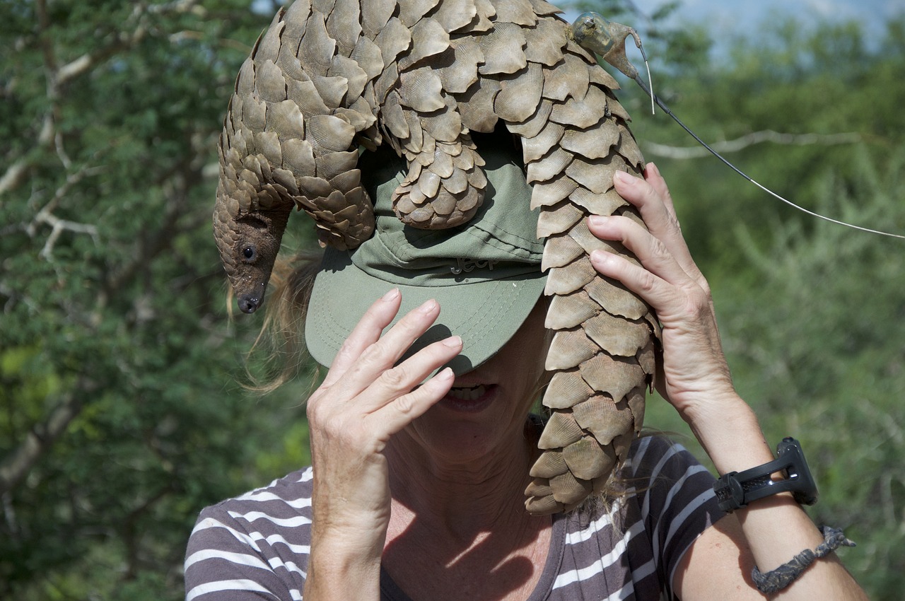 Pangolin Conservation