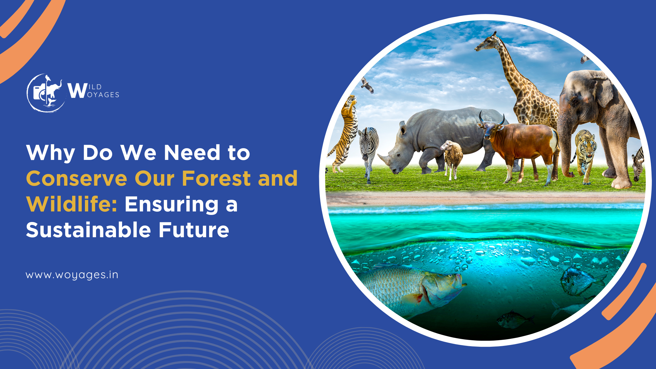 Why Do We Need to Conserve Our Forest and Wildlife - Ensuring a Sustainable Future